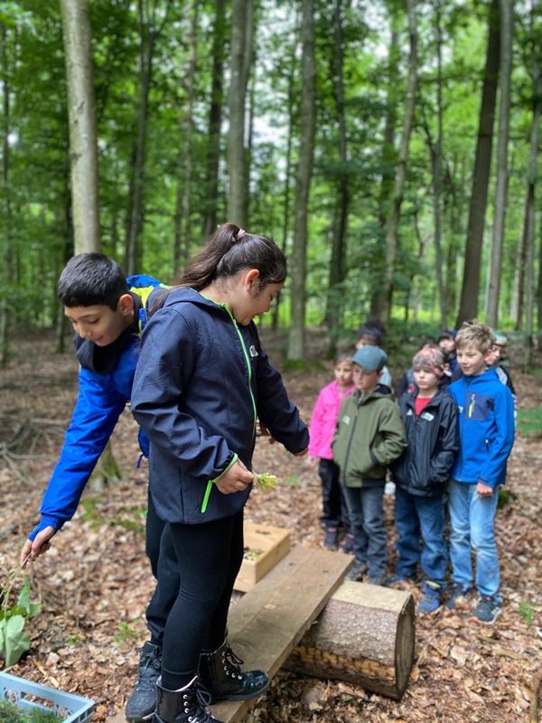 Waldjugendspiele 24 1b